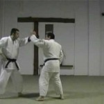 Go No Kata (la forma della forza)