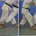 Hiza Guruma, Sasae Tsurikomi Ashi e altre tecniche di gamba (Ashi Waza)